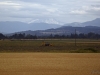 Mount Jefferson