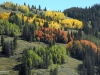 Aspen-04-yellow-red