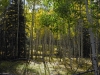 The high country offers a never-ending slide show. Photo © William P. Diven.