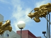 Dragons