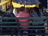 Shade in the shade