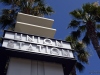 Union Station palms