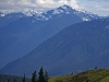 Olympic Range