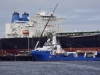 Alaska Horizon berthed