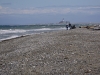 Dungeness Spit