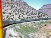 San Francisco Chief in Abo Canyon