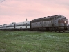 Morning Zephyr